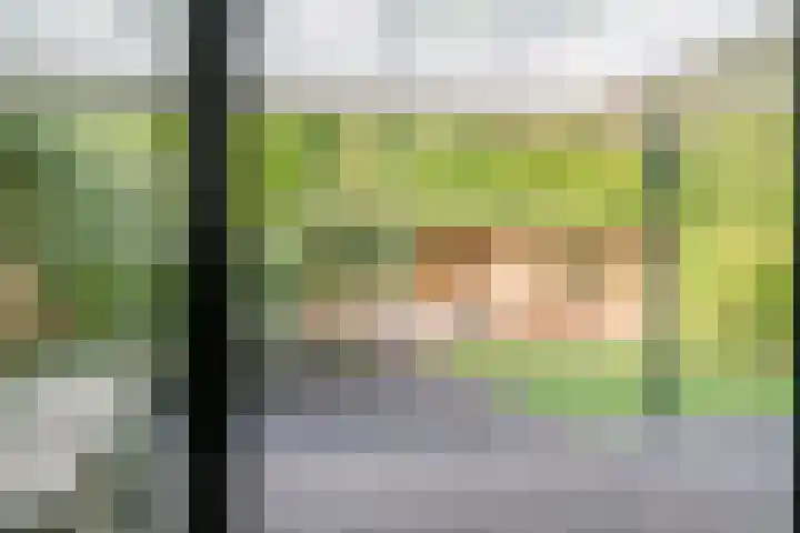 Koolzaadakker 11 Heino thumbnail 15