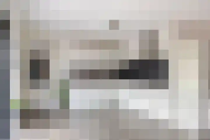 Koolzaadakker 11 Heino thumbnail 16
