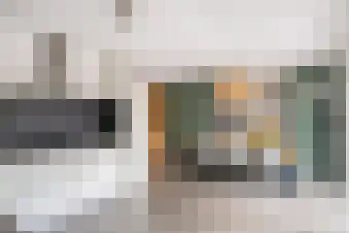 Koolzaadakker 11 Heino thumbnail 17