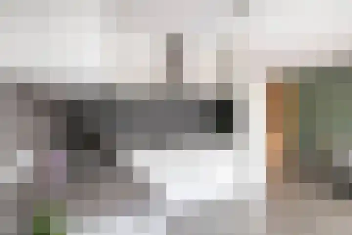 Koolzaadakker 11 Heino thumbnail 18