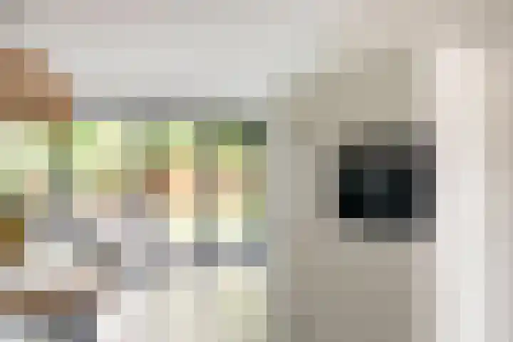 Koolzaadakker 11 Heino thumbnail 19