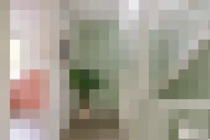 Koolzaadakker 11 Heino thumbnail 20