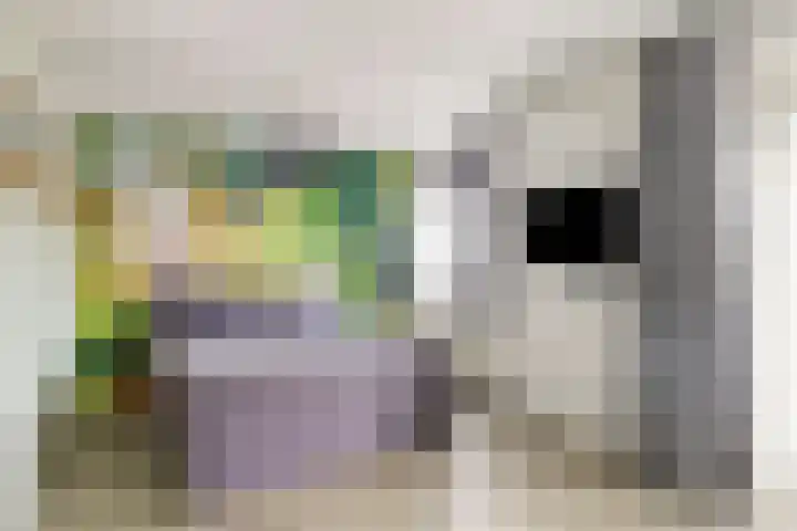 Koolzaadakker 11 Heino thumbnail 22