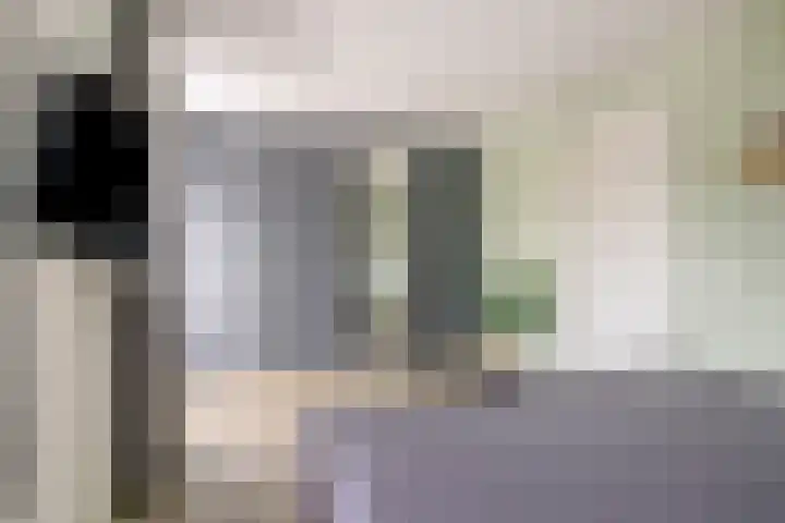 Koolzaadakker 11 Heino thumbnail 23