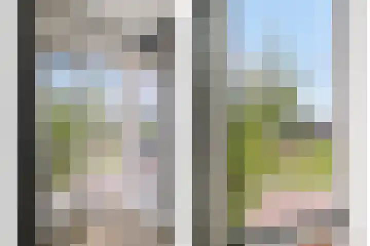 Koolzaadakker 11 Heino thumbnail 25