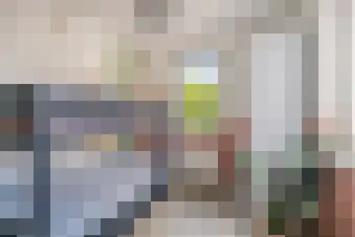 Koolzaadakker 11 Heino thumbnail 29