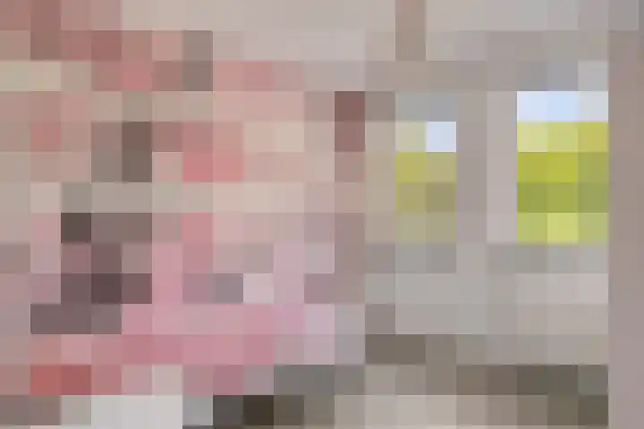 Koolzaadakker 11 Heino thumbnail 31