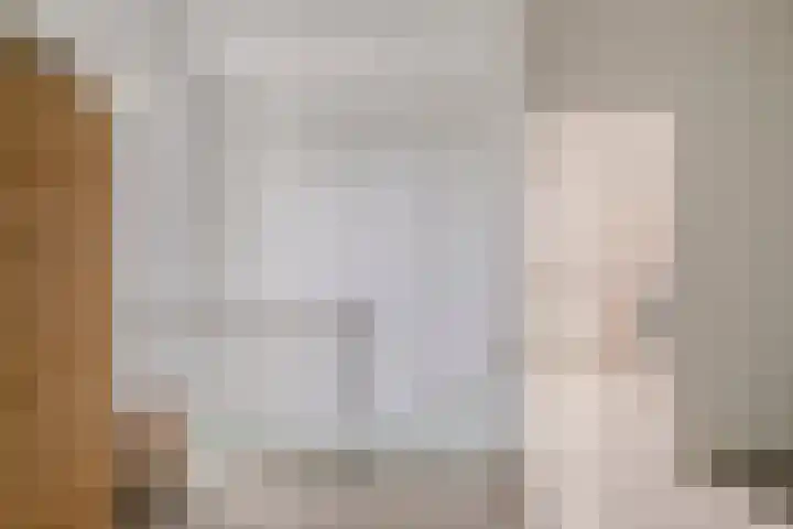 Koolzaadakker 11 Heino thumbnail 33