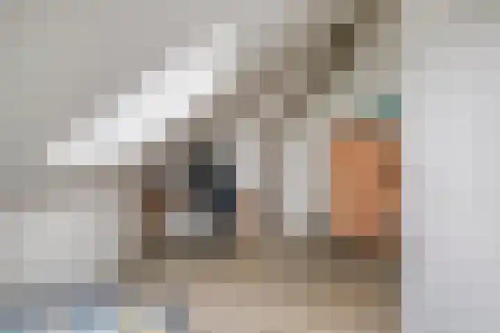Koolzaadakker 11 Heino thumbnail 37