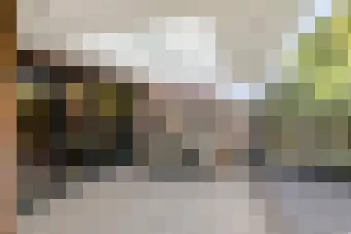 Koolzaadakker 11 Heino thumbnail 38