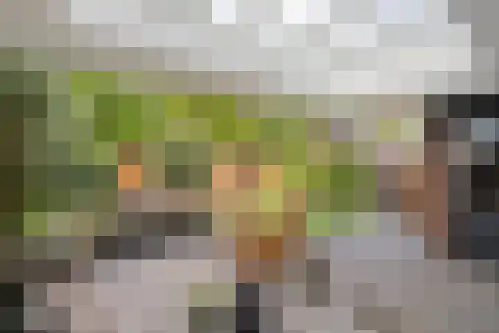 Koolzaadakker 11 Heino thumbnail 39