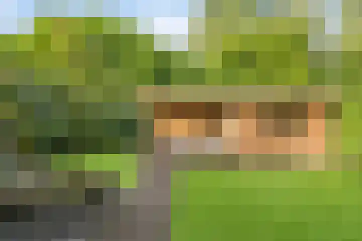 Koolzaadakker 11 Heino thumbnail 41