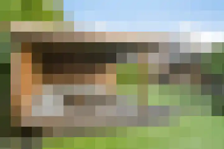 Koolzaadakker 11 Heino thumbnail 43