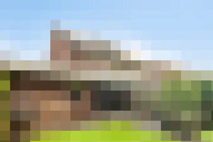 Koolzaadakker 11 Heino thumbnail 46