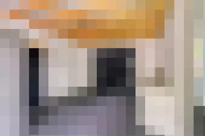 Koolzaadakker 11 Heino thumbnail 48