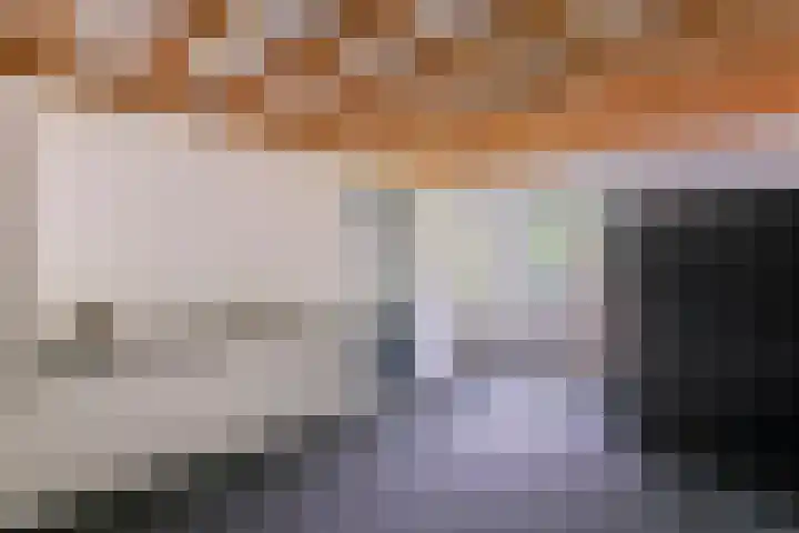 Koolzaadakker 11 Heino thumbnail 49