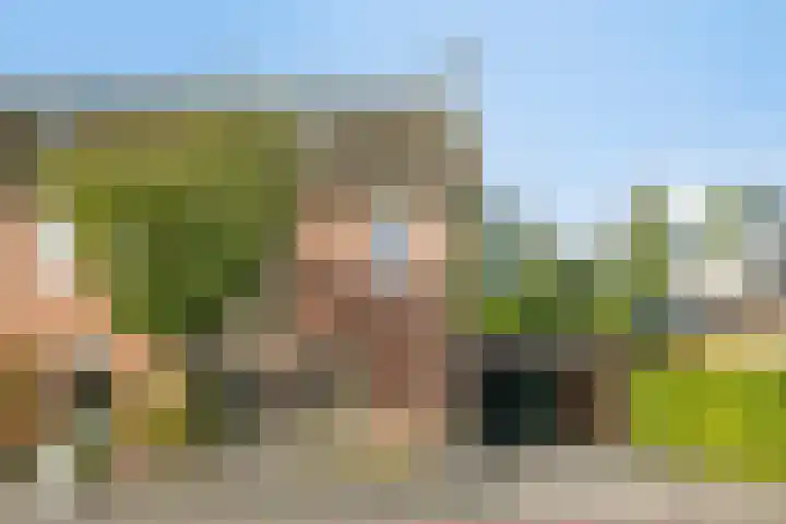 Koolzaadakker 11 Heino thumbnail 5