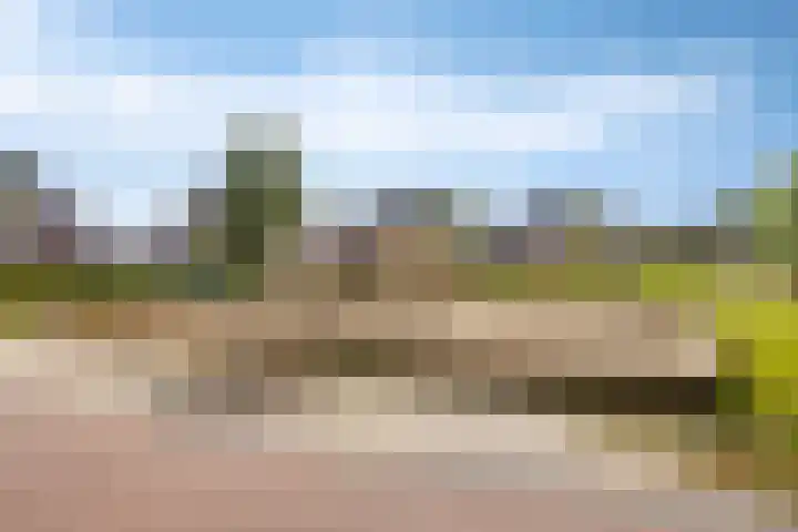 Koolzaadakker 11 Heino thumbnail 50