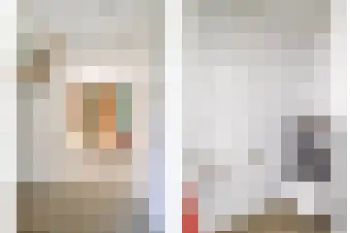 Koolzaadakker 11 Heino thumbnail 7