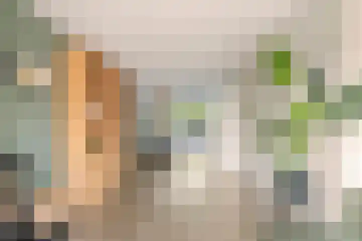Koolzaadakker 11 Heino thumbnail 8