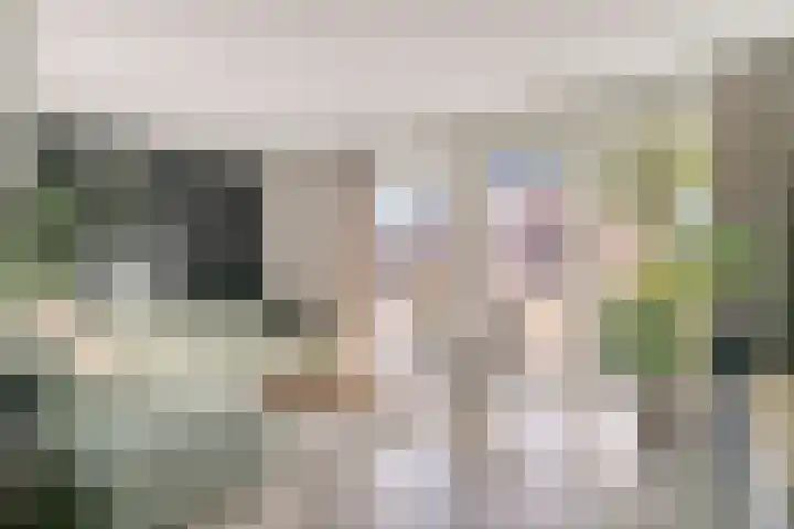 Koolzaadakker 11 Heino thumbnail 9