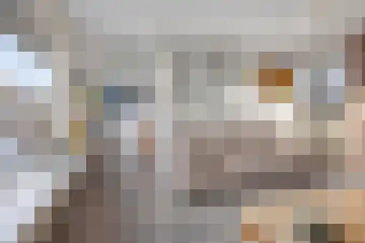 Koolzaadakker 13 Zoetermeer thumbnail 12