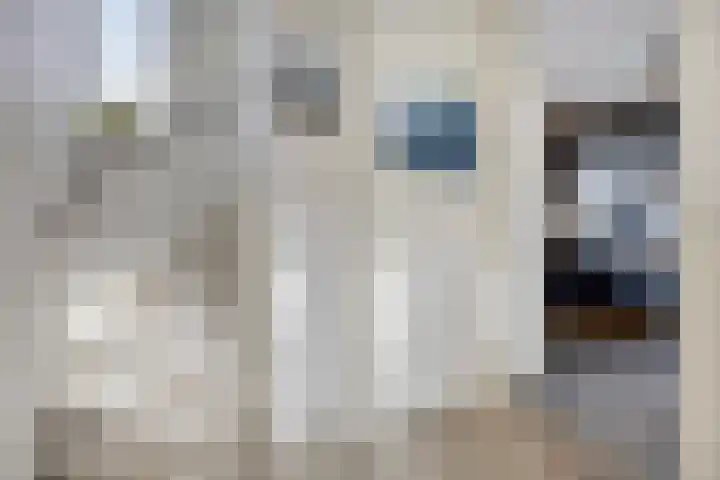 Koolzaadakker 13 Zoetermeer thumbnail 15