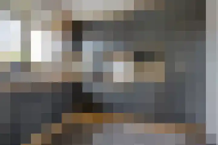Koolzaadakker 13 Zoetermeer thumbnail 17