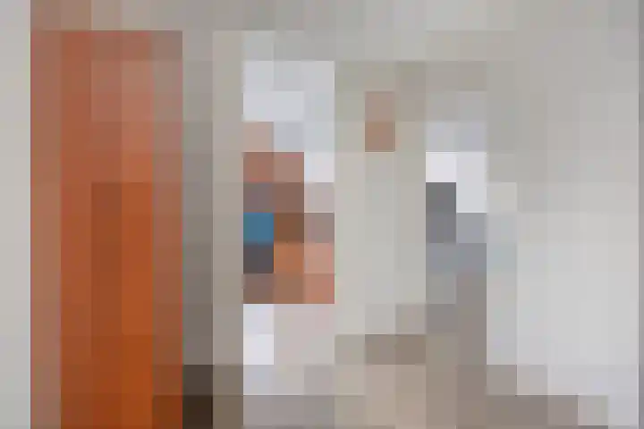Koolzaadakker 13 Zoetermeer thumbnail 22