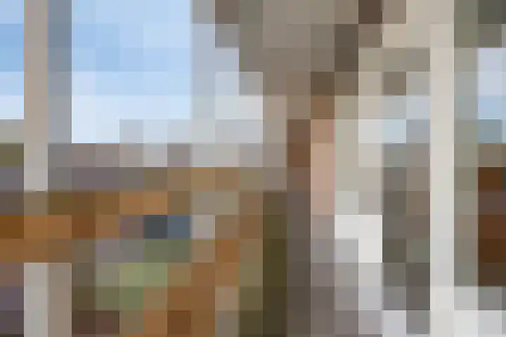 Koolzaadakker 13 Zoetermeer thumbnail 27