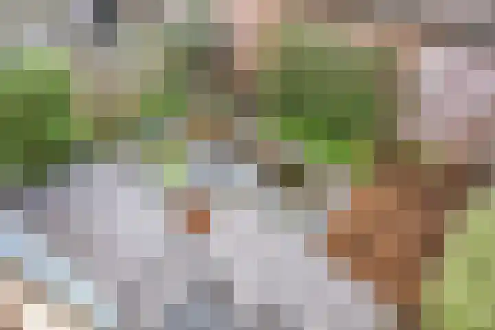 Koolzaadakker 13 Zoetermeer thumbnail 33