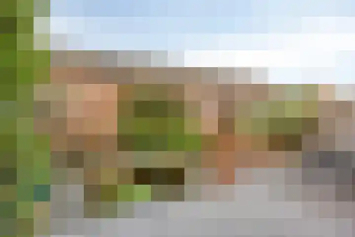 Koolzaadakker 13 Zoetermeer thumbnail 4