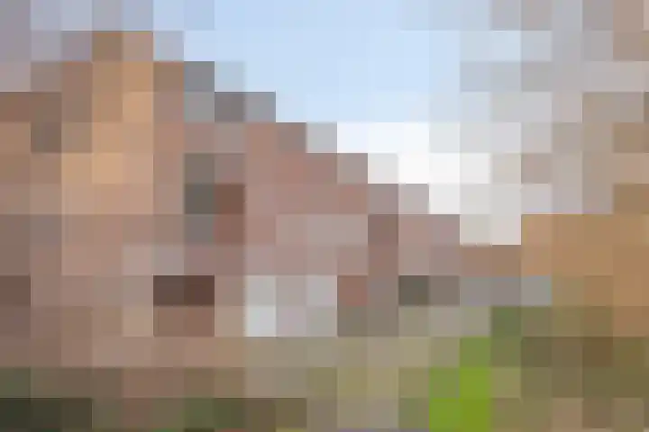 Koolzaadakker 13 Zoetermeer thumbnail 45