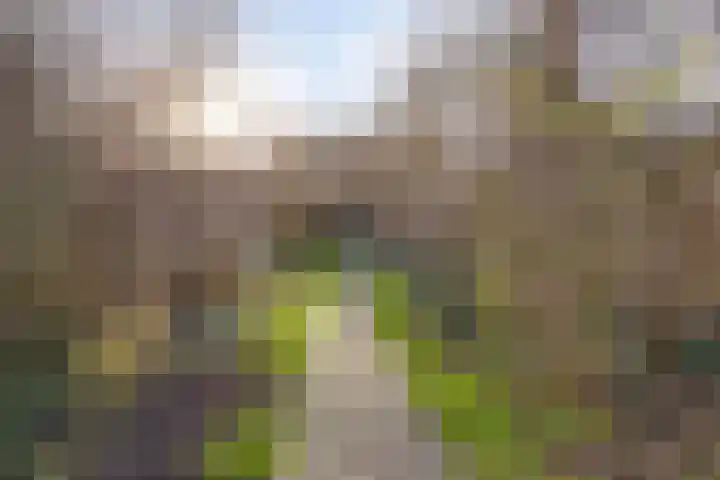 Koolzaadakker 13 Zoetermeer thumbnail 46