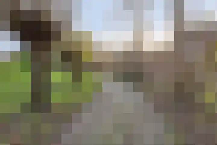 Koolzaadakker 13 Zoetermeer thumbnail 48