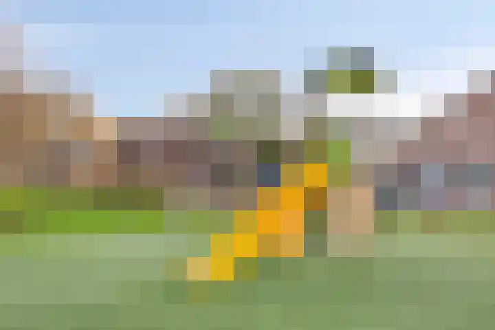 Koolzaadakker 13 Zoetermeer thumbnail 49