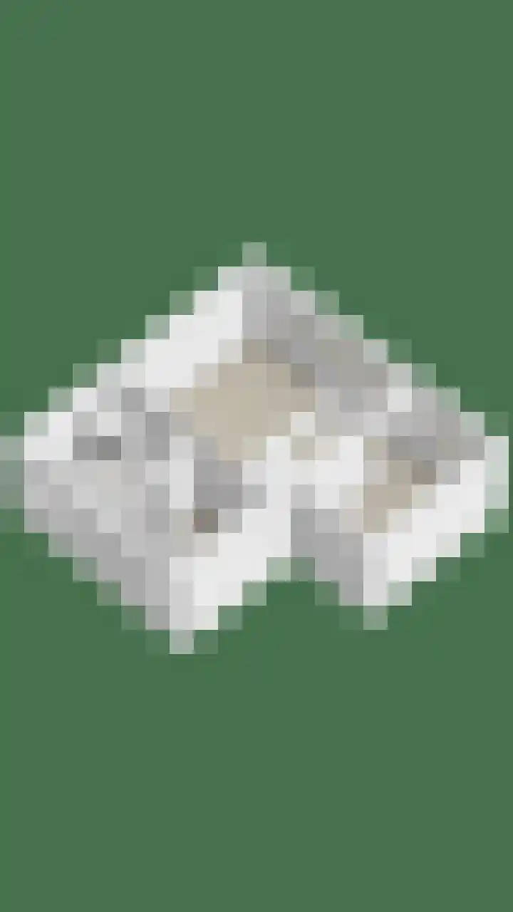 Koolzaadakker 13 Zoetermeer thumbnail 55