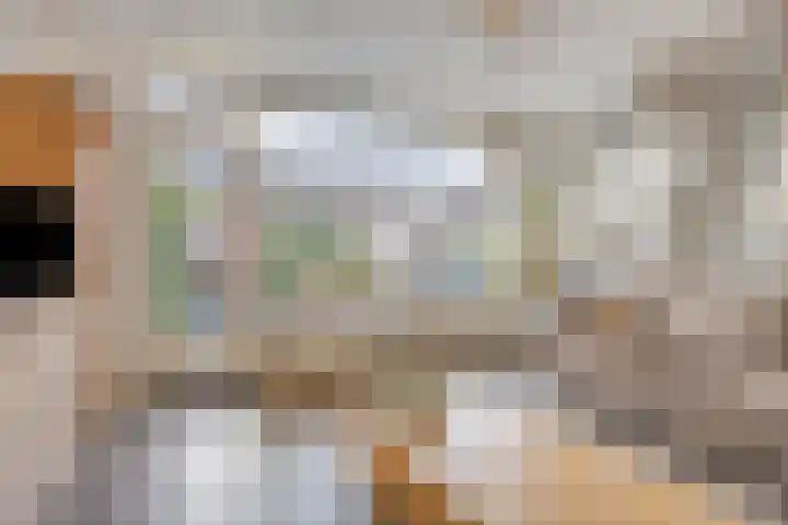 Koolzaadakker 13 Zoetermeer thumbnail 9