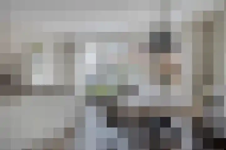 Koolzaadakker 8 Heino thumbnail 11