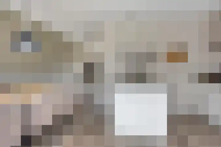 Koolzaadakker 8 Heino thumbnail 12