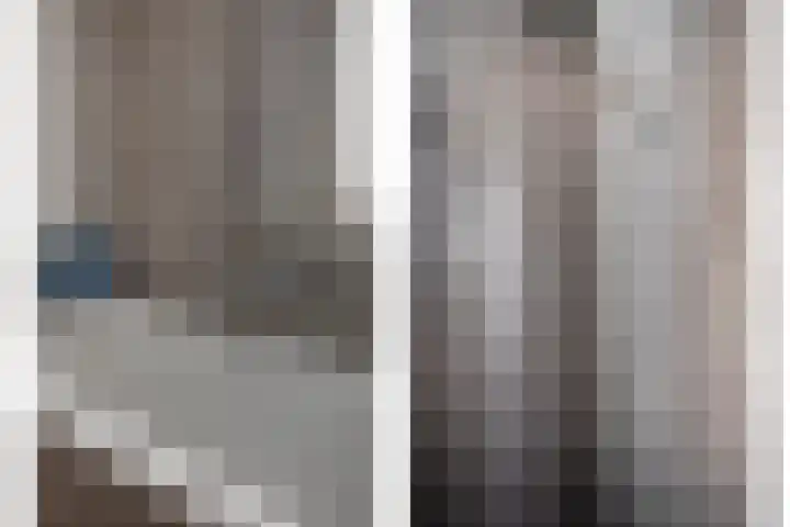 Koolzaadakker 8 Heino thumbnail 22