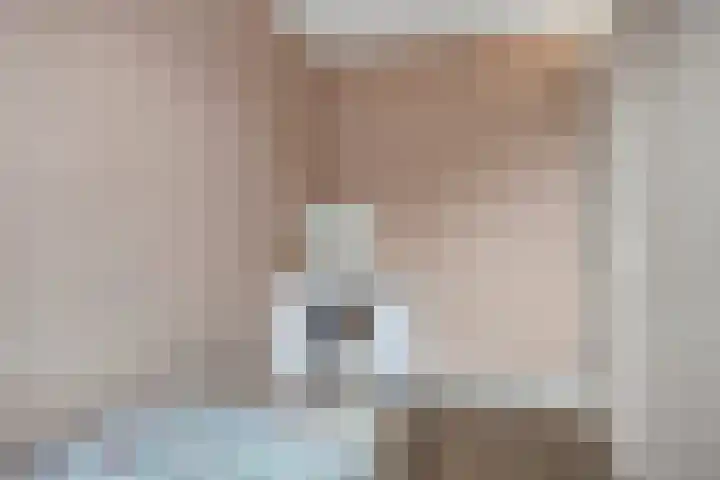 Koolzaadakker 8 Heino thumbnail 27