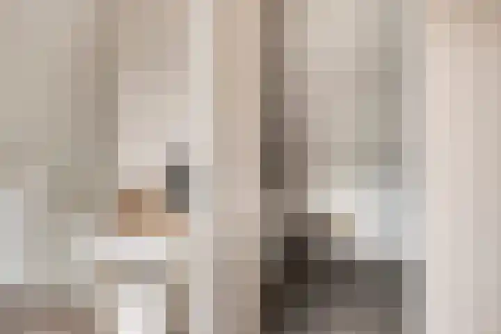 Koolzaadakker 8 Heino thumbnail 31