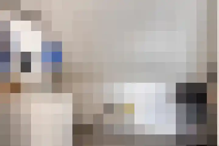 Koolzaadakker 8 Heino thumbnail 32