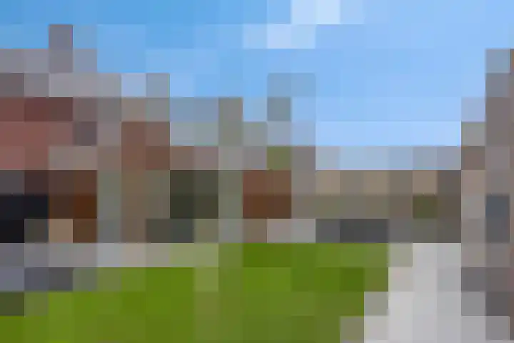 Koolzaadakker 8 Heino thumbnail 34