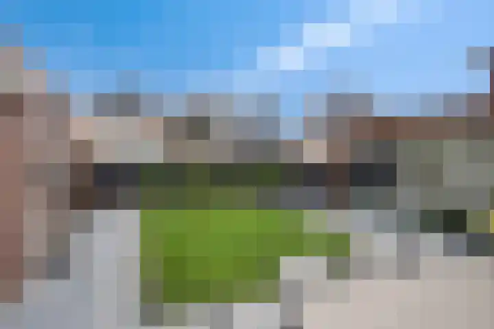 Koolzaadakker 8 Heino thumbnail 35