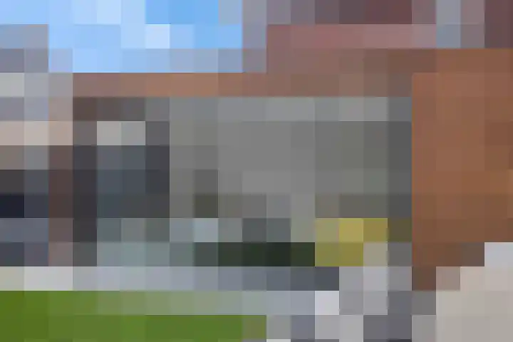 Koolzaadakker 8 Heino thumbnail 38