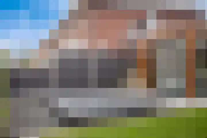 Koolzaadakker 8 Heino thumbnail 43