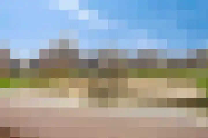 Koolzaadakker 8 Heino thumbnail 49