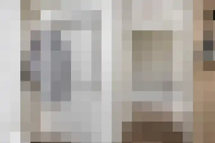 Koolzaadakker 8 Heino thumbnail 5